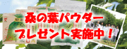 �K�̗t�p�E�_�[�v���[���g���{��