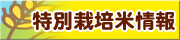 特別栽培米情報