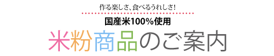 ���Y��100���g�p �ĕ����i�̂��ē�
